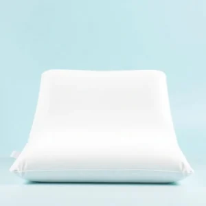Inverted Triangle Pillow